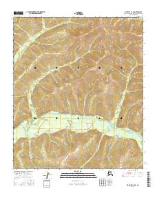Big Delta C-4 NE 2016 topographic map thumbnail