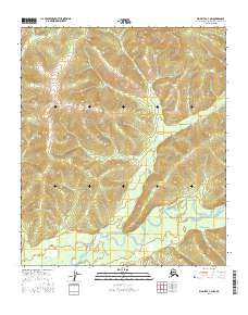 Big Delta C-4 NW 2016 topographic map thumbnail