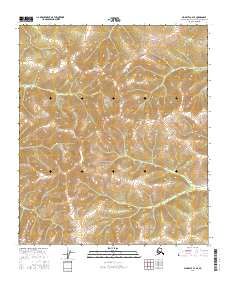 Big Delta C-4 SE 2016 topographic map thumbnail