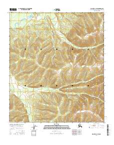 Big Delta C-4 SW 2016 topographic map thumbnail