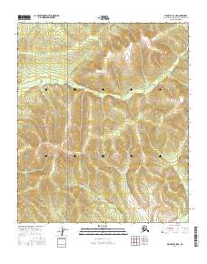 Big Delta C-5 NE 2016 topographic map thumbnail