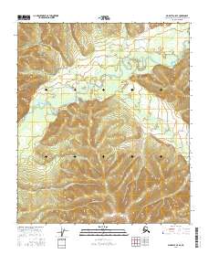 Big Delta C-5 SE 2016 topographic map thumbnail