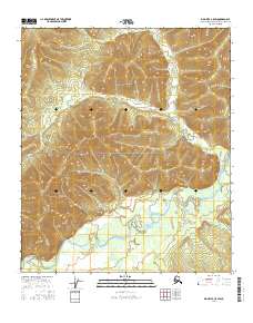 Big Delta C-5 SW 2016 topographic map thumbnail