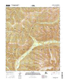 Big Delta D-3 NE 2016 topographic map thumbnail