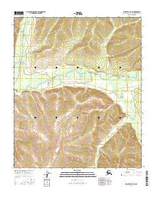 Big Delta D-5 NE 2016 topographic map thumbnail