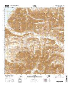 Chandler Lake A-5 NE topographic map thumbnail