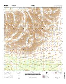 Healy A-1 SE 2016 topographic map thumbnail