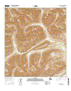 Healy B-5 NE 2016 topographic map thumbnail