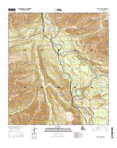 Healy C-4 NW 2016 topographic map thumbnail