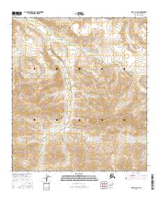 Healy D-3 NE 2016 topographic map thumbnail