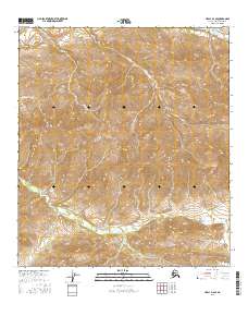 Healy D-4 SE topographic map thumbnail