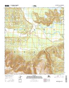 Mount Hayes C-2 NE 2016 topographic map thumbnail