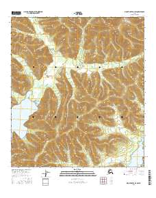 Mount Hayes D-1 SW 2016 topographic map thumbnail