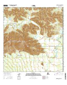 Nabesna B-1 NE 2016 topographic map preview