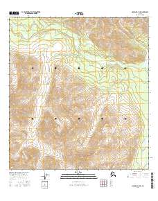 Nabesna D-4 SW 2016 topographic map thumbnail