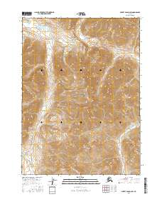 Survey Pass D-2 SW topographic map thumbnail