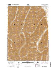 Survey Pass D-4 SW topographic map thumbnail