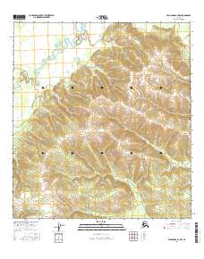 Tanacross A-4 NW 2016 topographic map thumbnail