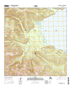 Tanacross A-4 SW 2016 topographic map thumbnail