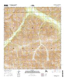 Tanacross A-6 SE 2016 topographic map thumbnail