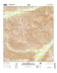Tanacross A-6 SW 2016 topographic map thumbnail