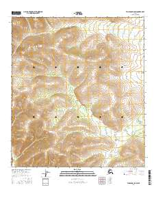 Tanacross D-5 SW 2016 topographic map thumbnail