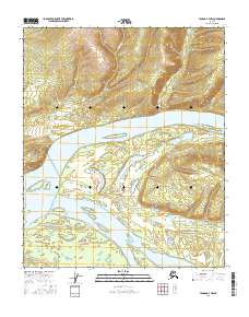 Tanana A-4 NW 2016 topographic map thumbnail