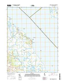 Bombay Hook Island 2016 topographic map thumbnail