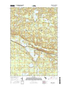Three Lakes 2017 topographic map thumbnail