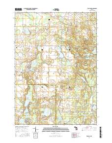Trufant 2017 topographic map thumbnail