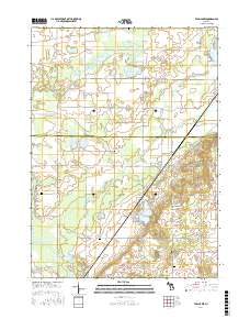 Twin Lakes 2017 topographic map thumbnail