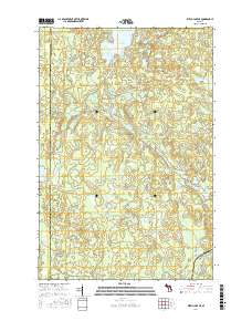 Witch Lake NE 2017 topographic map thumbnail