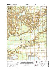 Wolf Lake 2017 topographic map thumbnail