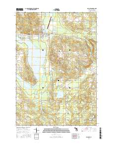 Bellaire 2017 topographic map thumbnail