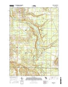 Benzonia 2017 topographic map thumbnail