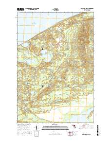 Betsy Lake North 2017 topographic map thumbnail