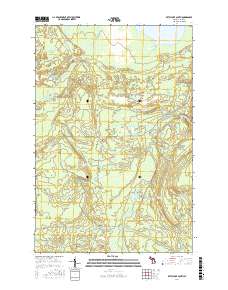 Betsy Lake South 2017 topographic map thumbnail