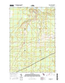 Blaney Park 2017 topographic map thumbnail