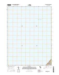 Bridgman OE W 2017 topographic map thumbnail