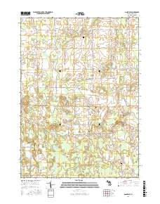 Dansville 2017 topographic map thumbnail