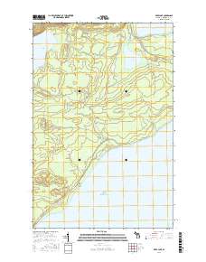 Deer Lake 2017 topographic map thumbnail