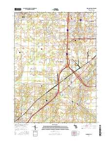 Dimondale 2017 topographic map thumbnail