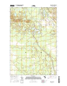Driggs Lake 2017 topographic map thumbnail