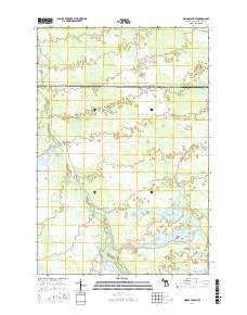 Driggs Lake SE 2017 topographic map thumbnail
