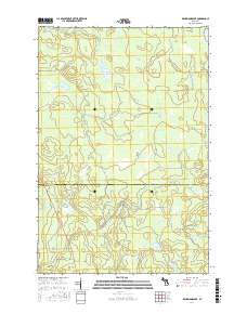 Drummond Lake 2017 topographic map thumbnail