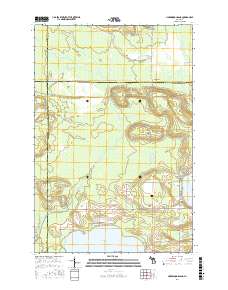Hardwood Island 2017 topographic map thumbnail