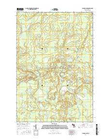 Hickman Lake 2017 topographic map thumbnail