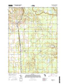 Fennville 2017 topographic map thumbnail