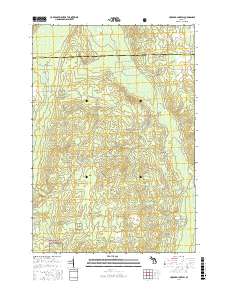 Hubbard Lake SW 2017 topographic map thumbnail