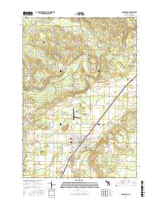 Mancelona 2017 topographic map thumbnail